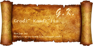 Groó Kamélia névjegykártya